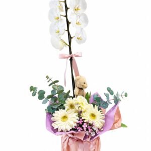 Beyaz Orkide & Gerbera Zarafeti